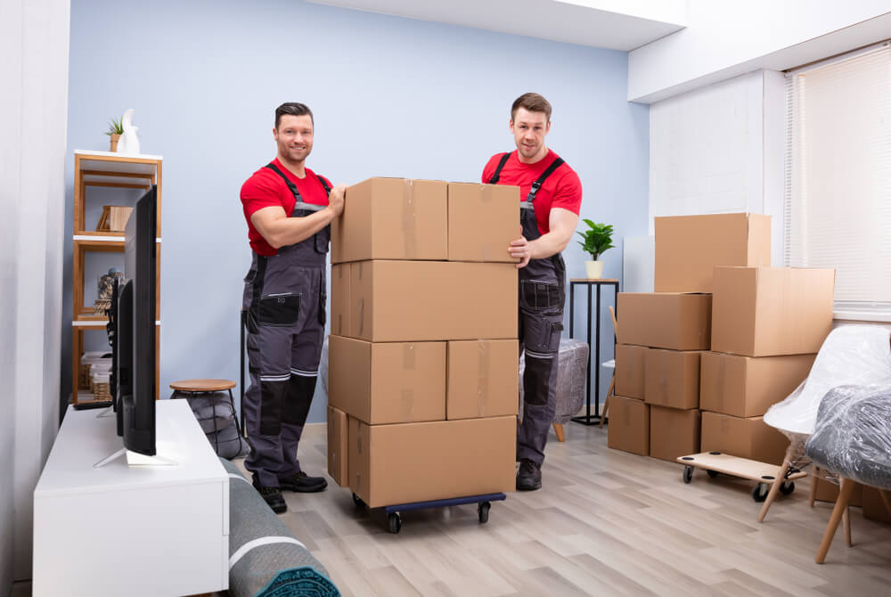 Professional Moving Consultation And Planning In Laurel MD